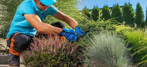 About what a website for electricians, plumbers, and landscapers actually needs