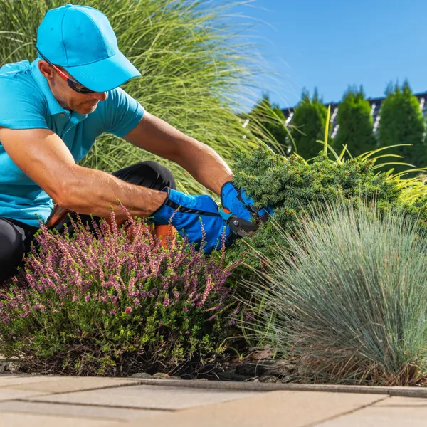 Image related to what a website for electricians, plumbers, and landscapers actually needs
