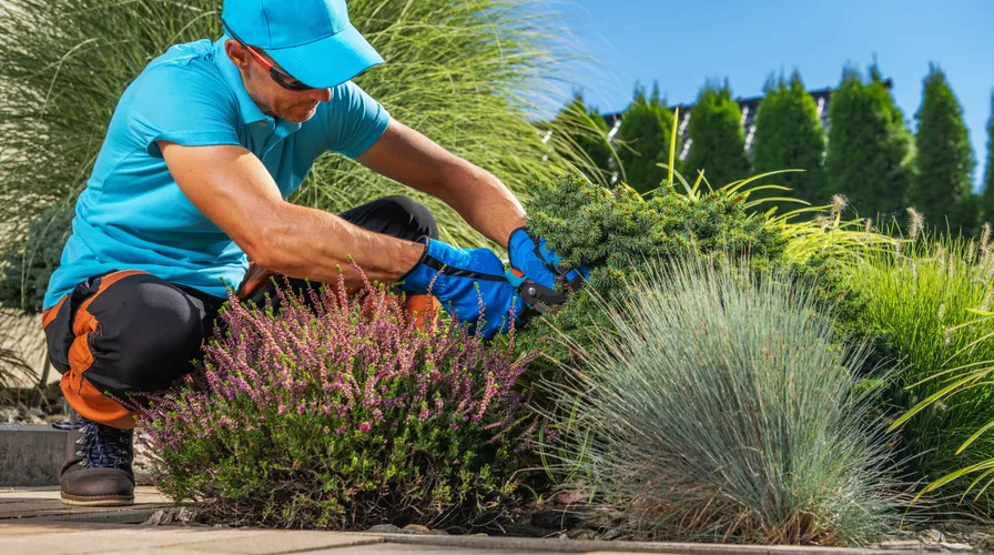 What a Website for Electricians, Plumbers, and Landscapers Actually Needs