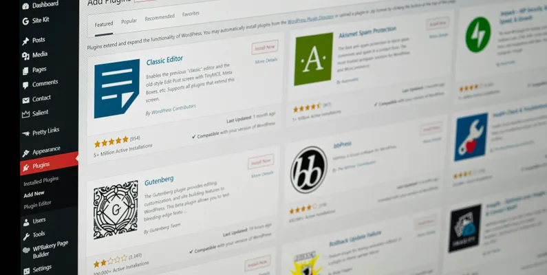Wordpress plugins