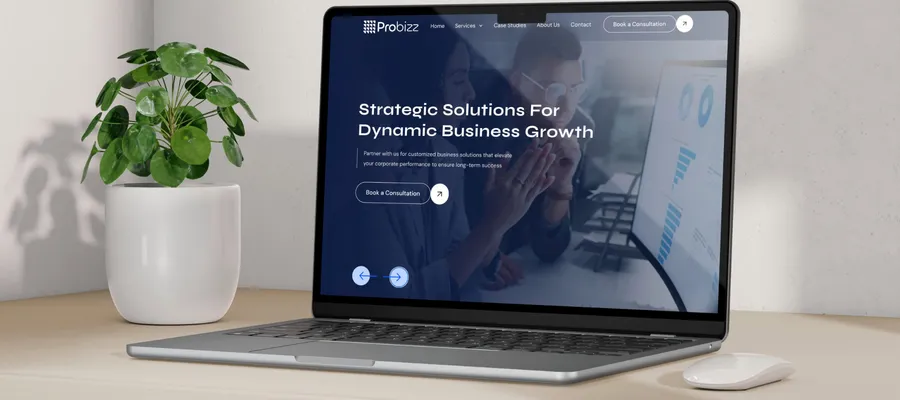 probizz site mockup