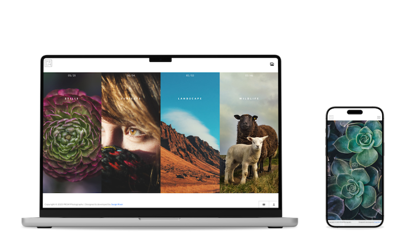 PRSM Photography case study